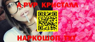 амф Сланцы