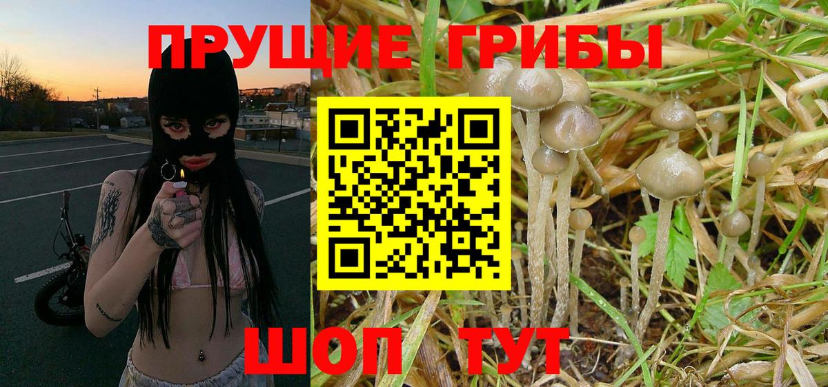 Галлюциногенные грибы Magic Shrooms  цена   Дагестанские Огни  Вход с VPN 