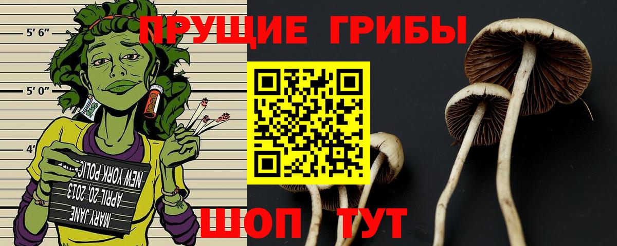 Галлюциногенные грибы MAGIC MUSHROOMS Дагестанские Огни
